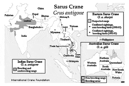 Distribution Map