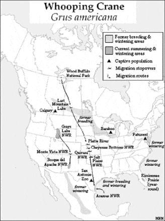 Whooping Cranes - Distribution Map