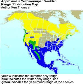 Yellow-rumped Warbler Distribution